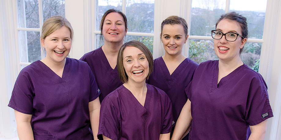 The Dental Nurse Team